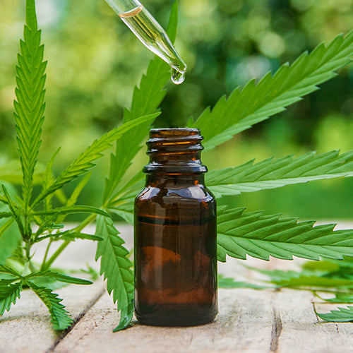 Pain relief Aromatherapy Oil